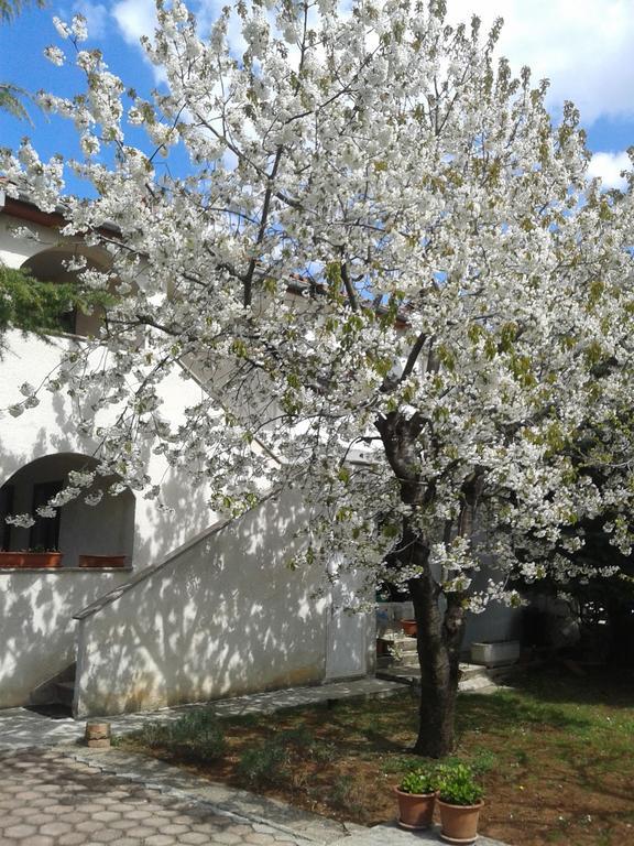 Apartments Porec Istria By Nina Екстериор снимка